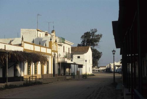 Parc national de Doñana