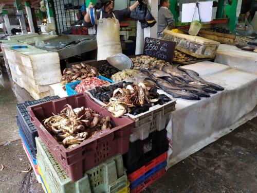 Marché aux poissons, port de San Antonio