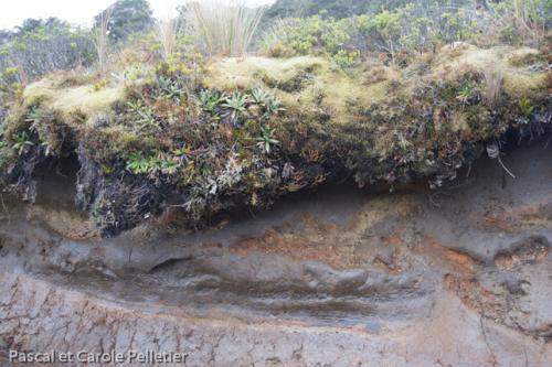 Forte érosion dans le parc du fait des pluies fréquentes et la fonte des neiges au printemps 