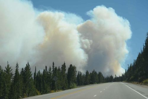 Feu de forêt