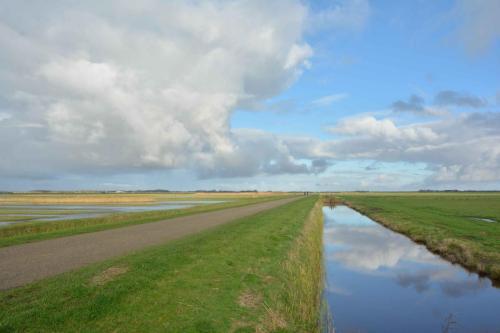 Polder Waal en Burg