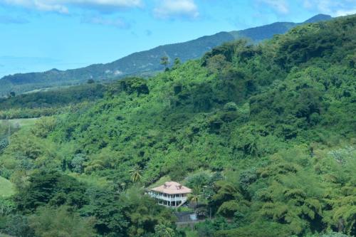 Près de Saint-Pierre