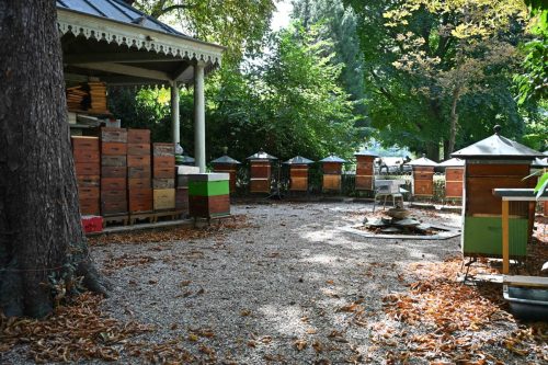 Rucher école - Société Centrale d'Apiculture