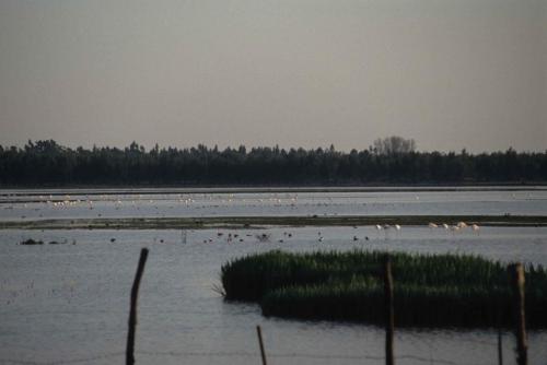 Parc national de Doñana