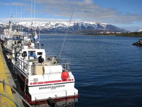 Port d'Arskogssandur