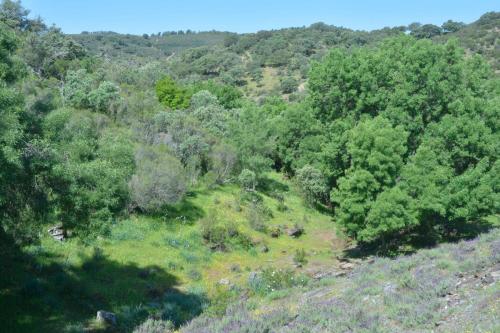 Parc national de Monfrague