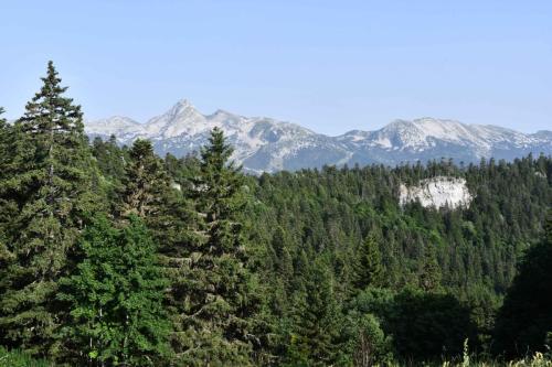 de la table d’orientation de Château-Julien