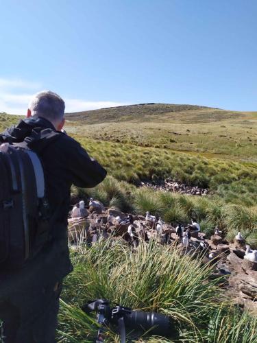 On est vraiment très près des oiseaux