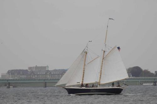 Voilier dans la baie de Newport