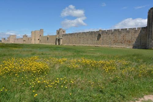 Aigues-Mortes