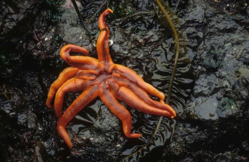 Sortie en mer vers Peterson Bay