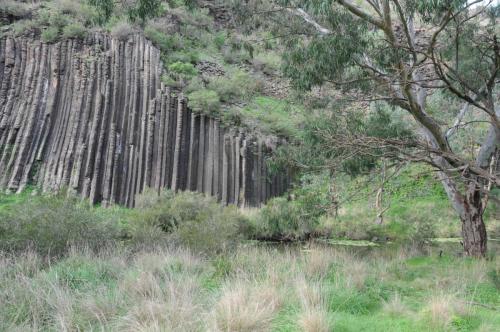 Orgues basaltiques au parc national de Organ Pipes