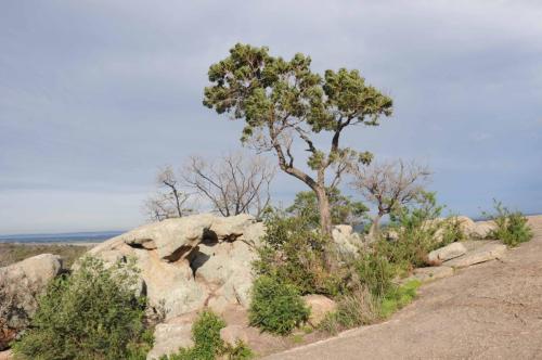 You Yangs regional park