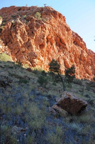 Parc national de West MacDonnell - Simpson's gap