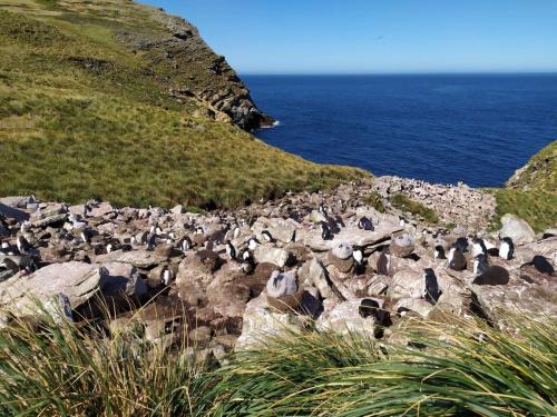 Une partie de la colonie de West Point