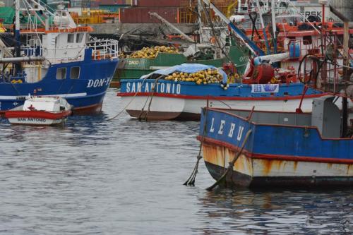 Port de San Antonio
