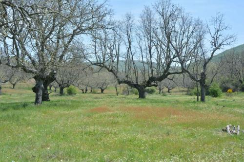 Dans la Sierra de Guadalupe
