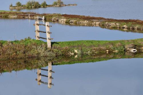 Noirmoutier en l'île, réserve naturelle des marais de Mullembourg