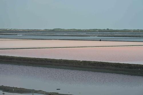 Laem Phak Bia - Marais salants