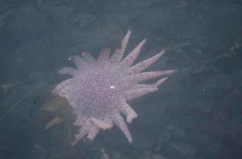 Sortie en mer vers Peterson Bay