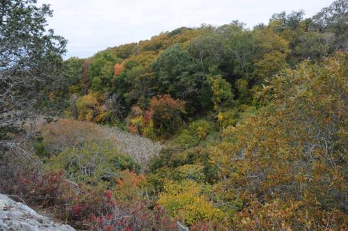 Norman bird sanctuary (Rhode island)