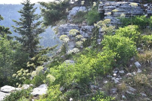 de la table d’orientation de Château-Julien