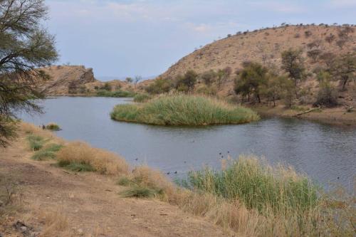 Daan Viljoen Game Park
