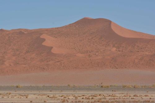 Dunes de Sossusvlei