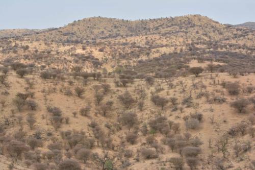 Daan-Viljoen-Game-Park