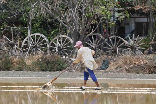 Récolte du sel à Khok Kham
