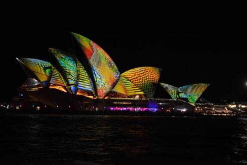 Festival Vivid Sydney 2014 - Son et Lumière sur l'opéra de Sydney