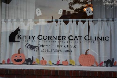 Véterinaire pour chat, uniquement !!