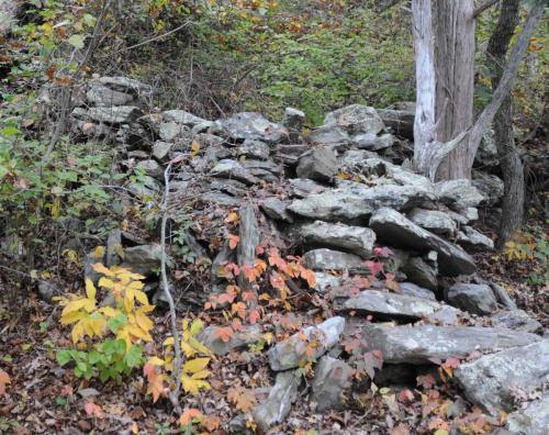 Norman bird sanctuary (Rhode island)