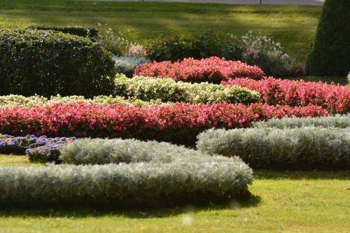 Peterhof (Résidence d'été impériale de Pierre 1er)