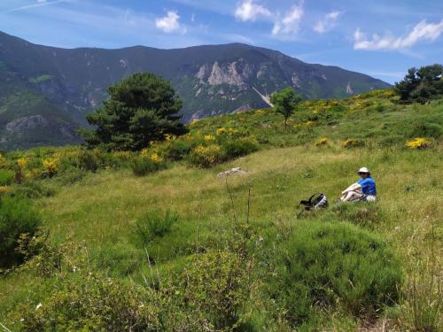 au dessus de Nohèdes