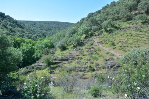 Parc national de Monfrague