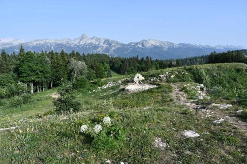 de la table d’orientation de Château-Julien