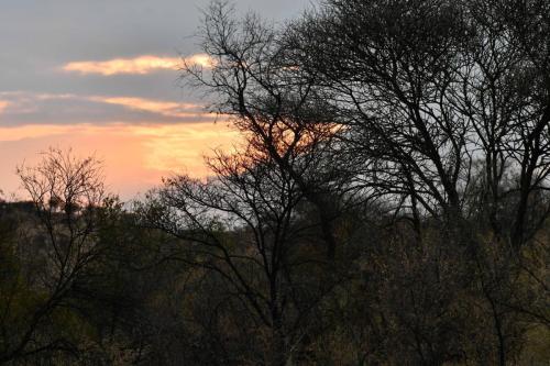 Daan Viljoen Game Park