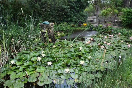 Jardin exotique de Ponteilla