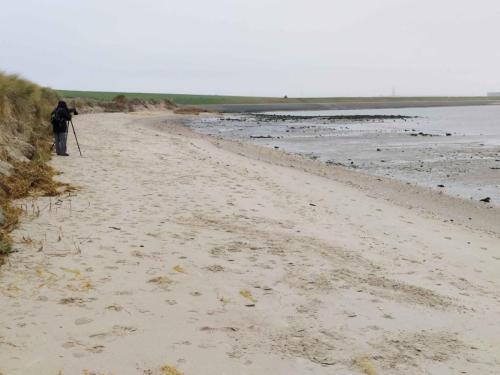 Au nord de De Cocksdorp