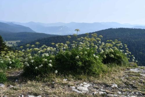 de la table d’orientation de Château-Julien