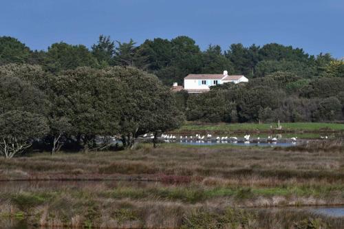 Noirmoutier en l'île, réserve naturelle des marais de Mullembourg