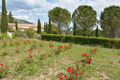 Domaine de Saint Ser Puyloubier