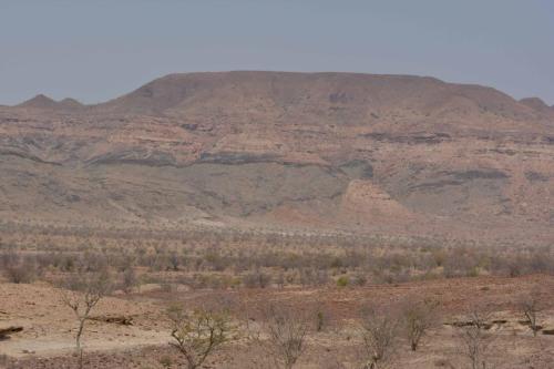 Entre petrified forest et Twyfelfontein