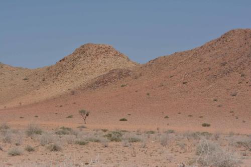 Sur la C19 en direction de Sossusvlei
