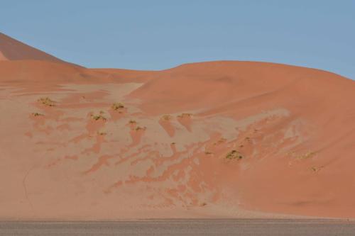 Dunes de Sossusvlei