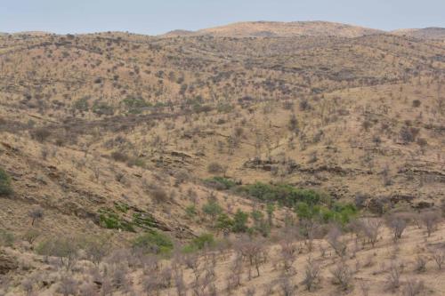 Daan-Viljoen-Game-Park