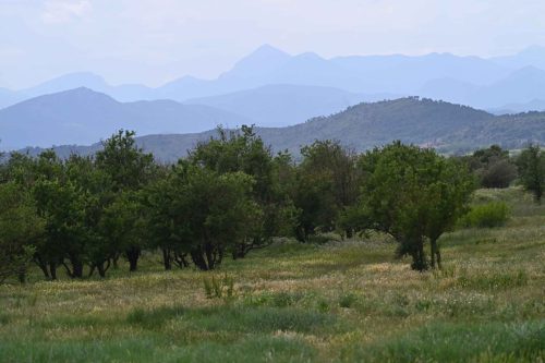 Près de Delfia