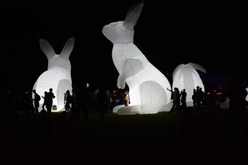 Festival Vivid Sydney 2014