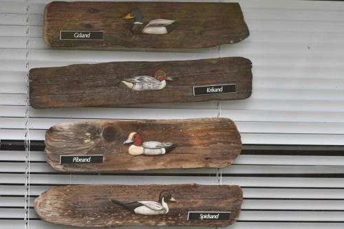 Canard colvert, Sarcelle d'hiver, Canard Siffleur, Canard Pilet.